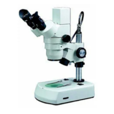 Scientific Microscopes